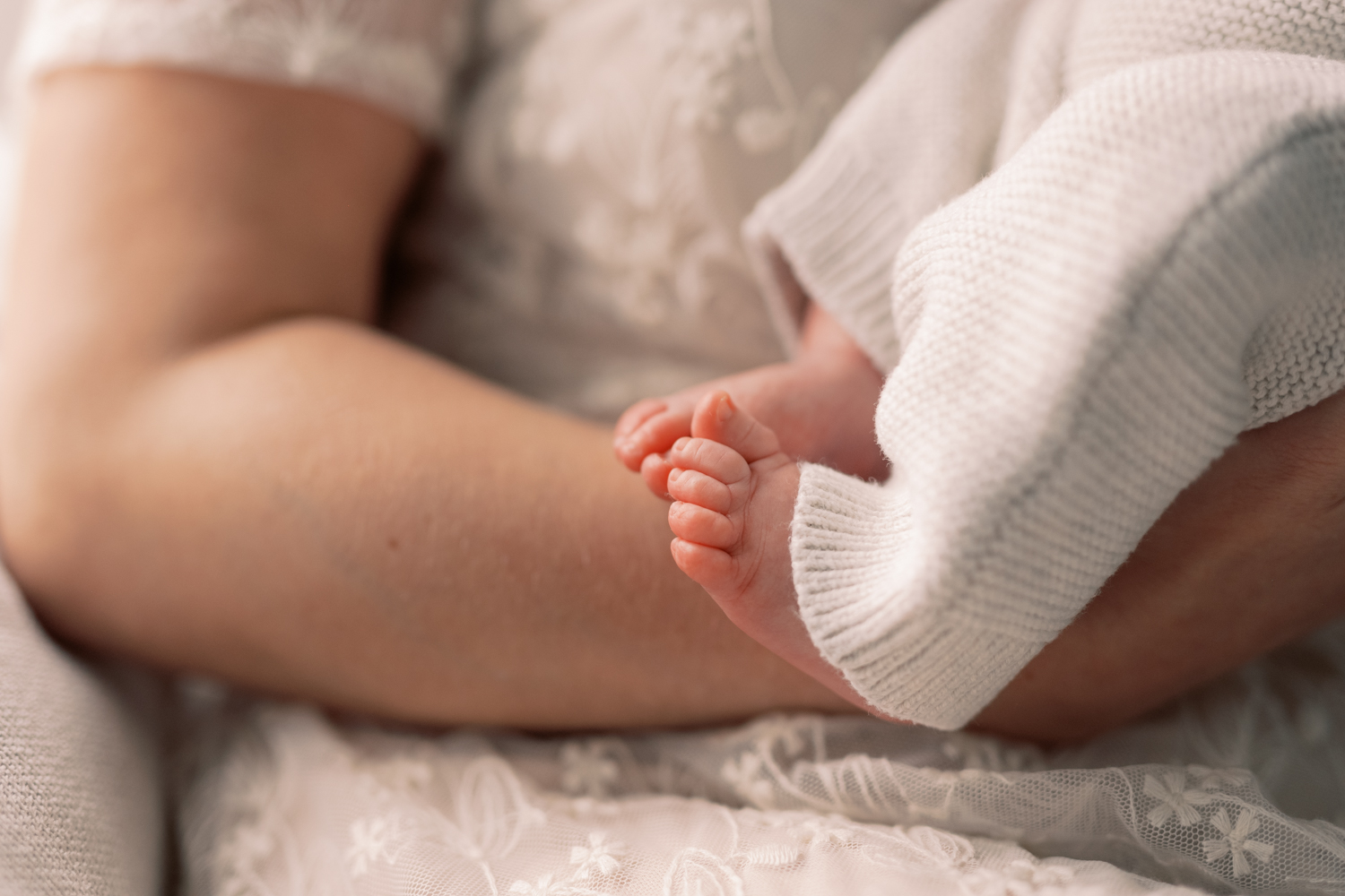 charlotte newborn photographer 