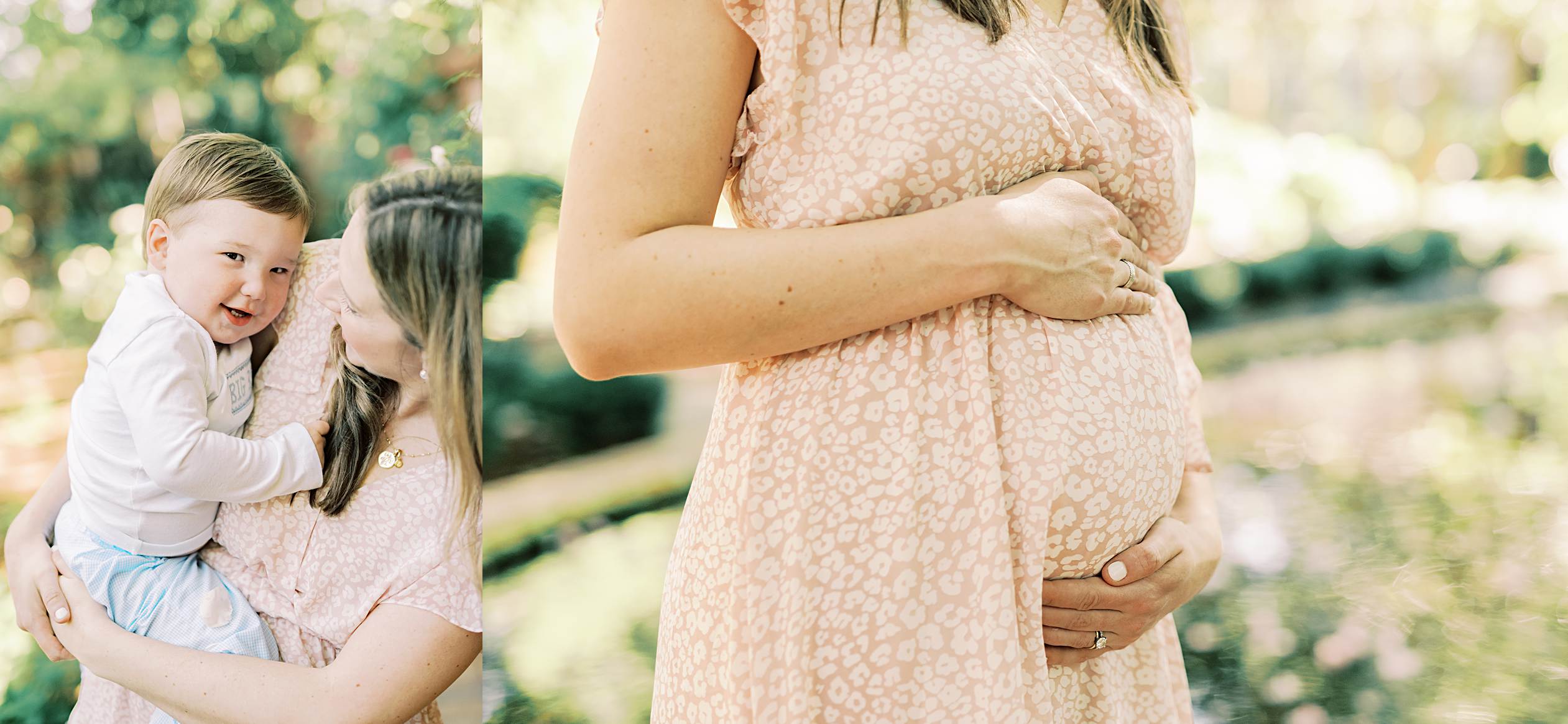 photography at wing haven gardens in charlotte nc